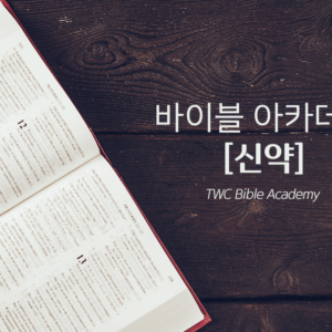 바이블 아카데미 신약