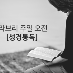 라브리 주일 오전 성경통독
