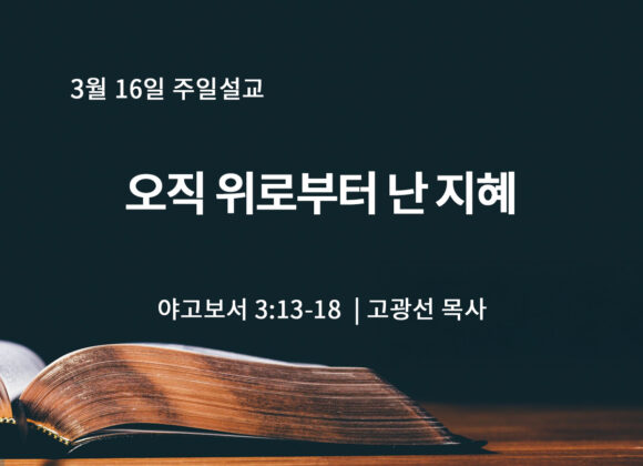 3월 16일 오직 위로부터 난 지혜(약 3:13-18) 3월 16일 오직 위로부터 난 지혜(약 3:13-18)