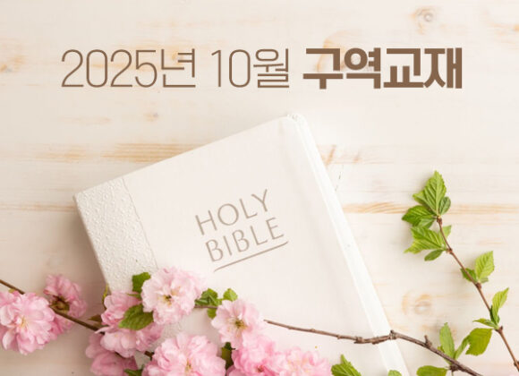 2025년 10월 2025년 10월