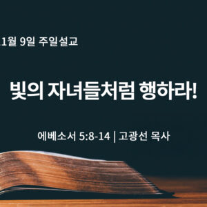 11월 9일 빛의 자녀들처럼 행하라! (엡 5:8-14)