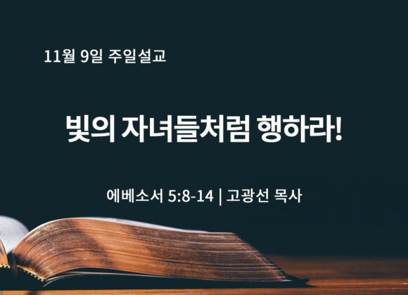 11월 9일 빛의 자녀들처럼 행하라! (엡 5:8-14) 11월 9일 빛의 자녀들처럼 행하라! (엡 5:8-14)