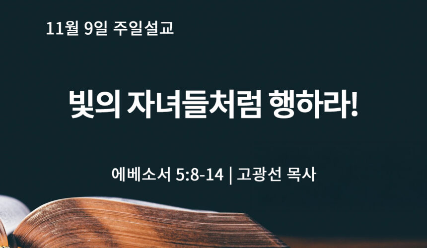 11월 9일 빛의 자녀들처럼 행하라! (엡 5:8-14)