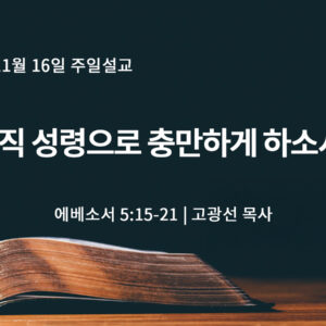 11월 16일 오직 성령으로 충만하게 하소서! (엡 5:15-21)
