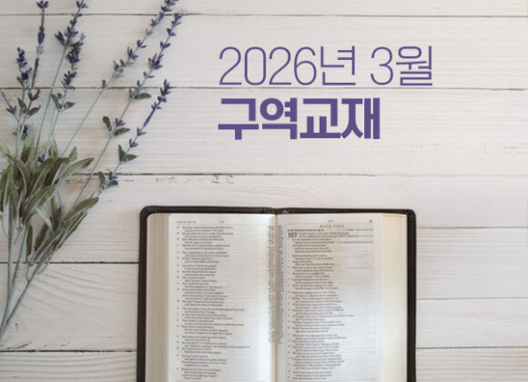 2026년 3월