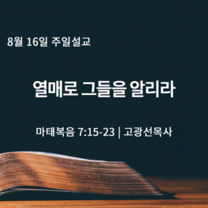8월 16일 열매로 그들을 알리라 (마 7:15-23) 8월 16일 열매로 그들을 알리라 (마 7:15-23)