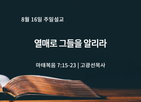 8월 16일 열매로 그들을 알리라 (마 7:15-23)