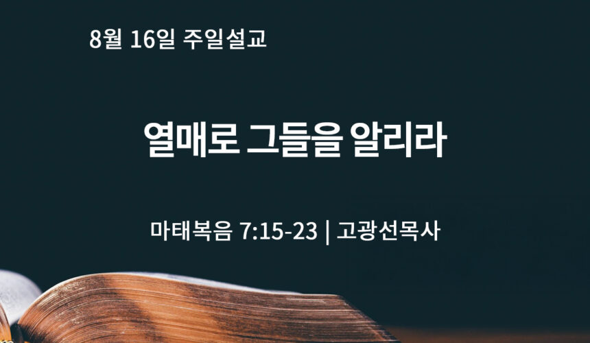 8월 16일 열매로 그들을 알리라 (마 7:15-23)